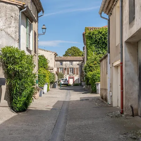 דירה Elegant - 1-2 Pers - 10 Min De Carcassonne Cavanac